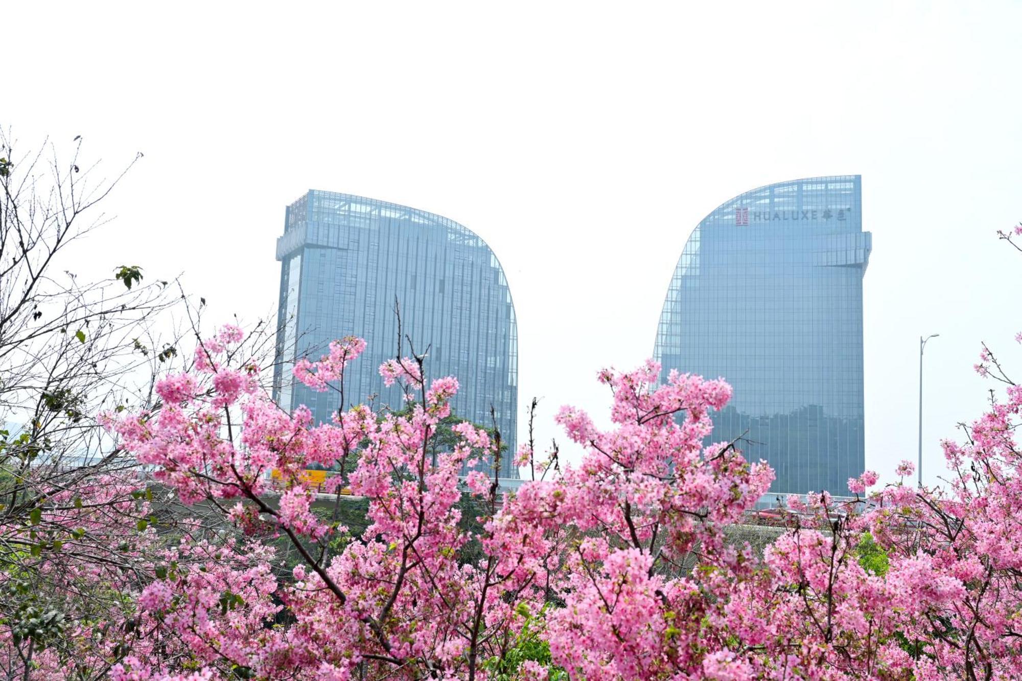 Hualuxe Xiamen Haicang Habour View エクステリア 写真